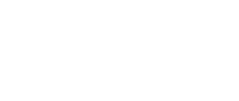 ALLOWCN DNS版